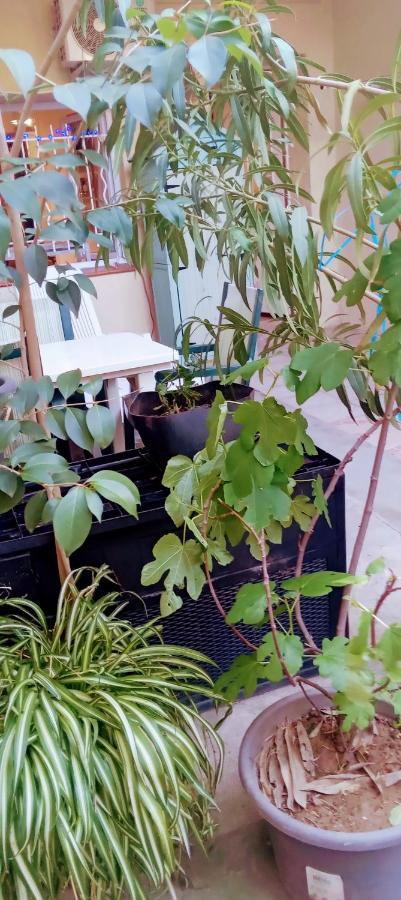 Joli Studio Avec Jardin Espira-de-l'Agly 外观 照片